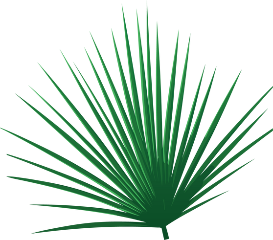 Tropical Green Leaf